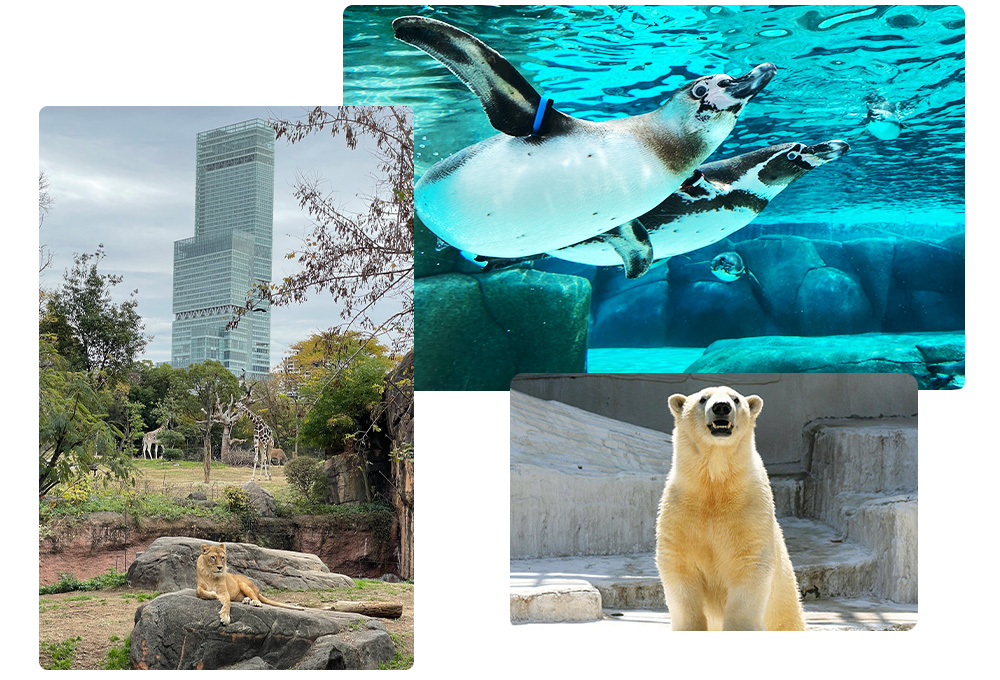 天王寺動物園