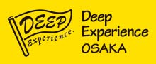 DeepExperience